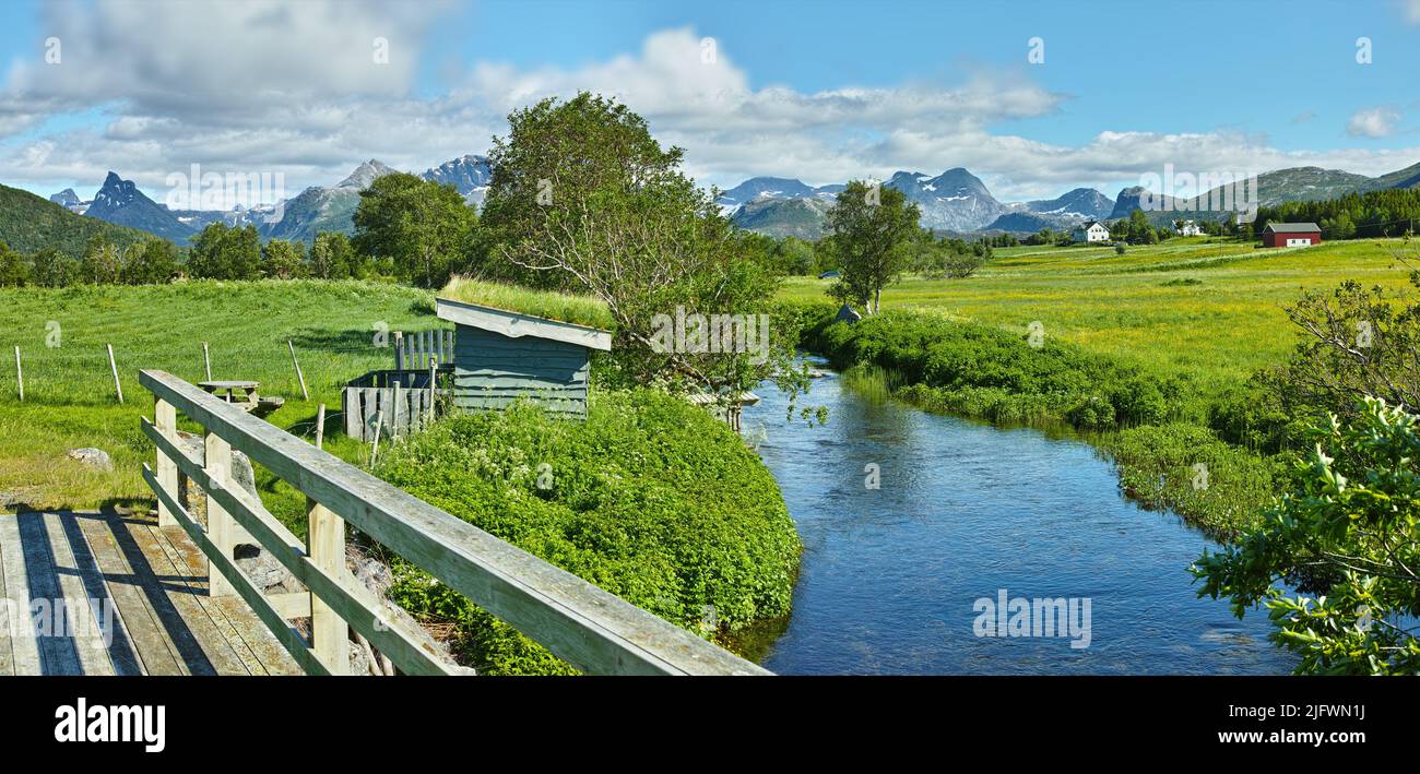 Flusslandschaft zwischen Hügeln und Bergen. Grünes Laub am Flussufer mit blauem Himmel in Norwegen. Ruhiges Wasser in der Nähe einer lebhaften Wildnis Stockfoto