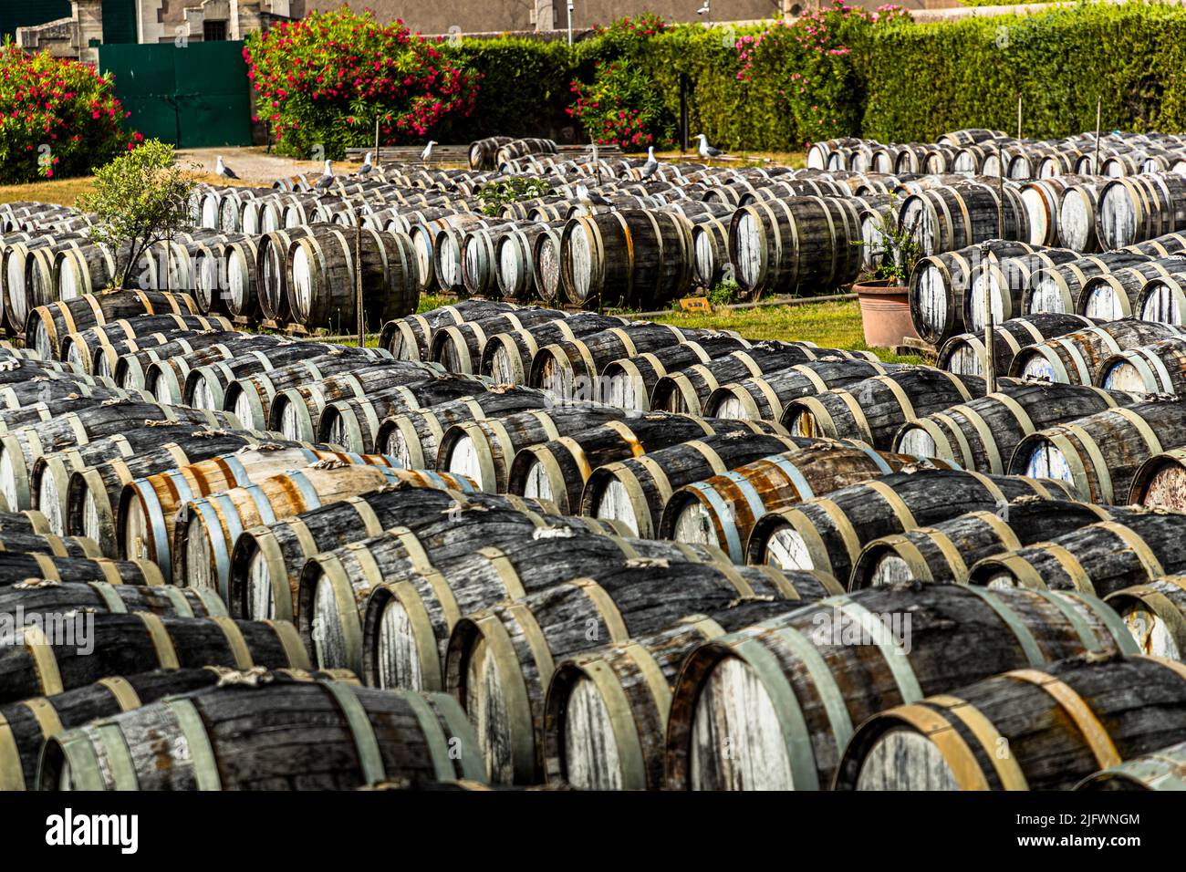 Im Hof der Produktionsstätte Noilly Prat in Marseille (Frankreich) werden alte Eichenfässer für ein ganzes Jahr gelagert. Der Weißwein, bis zu 75 Prozent aus dem regional angebauten picpoul, ist Wind und Sonne ausgesetzt. Die Nähe zum Meer beeinflusst auch den Geschmack des Weines Stockfoto