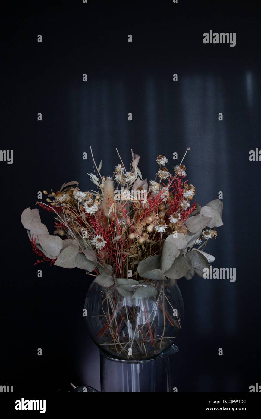 Getrocknete Blumen in einer Glasvase zur Dekoration Stockfoto