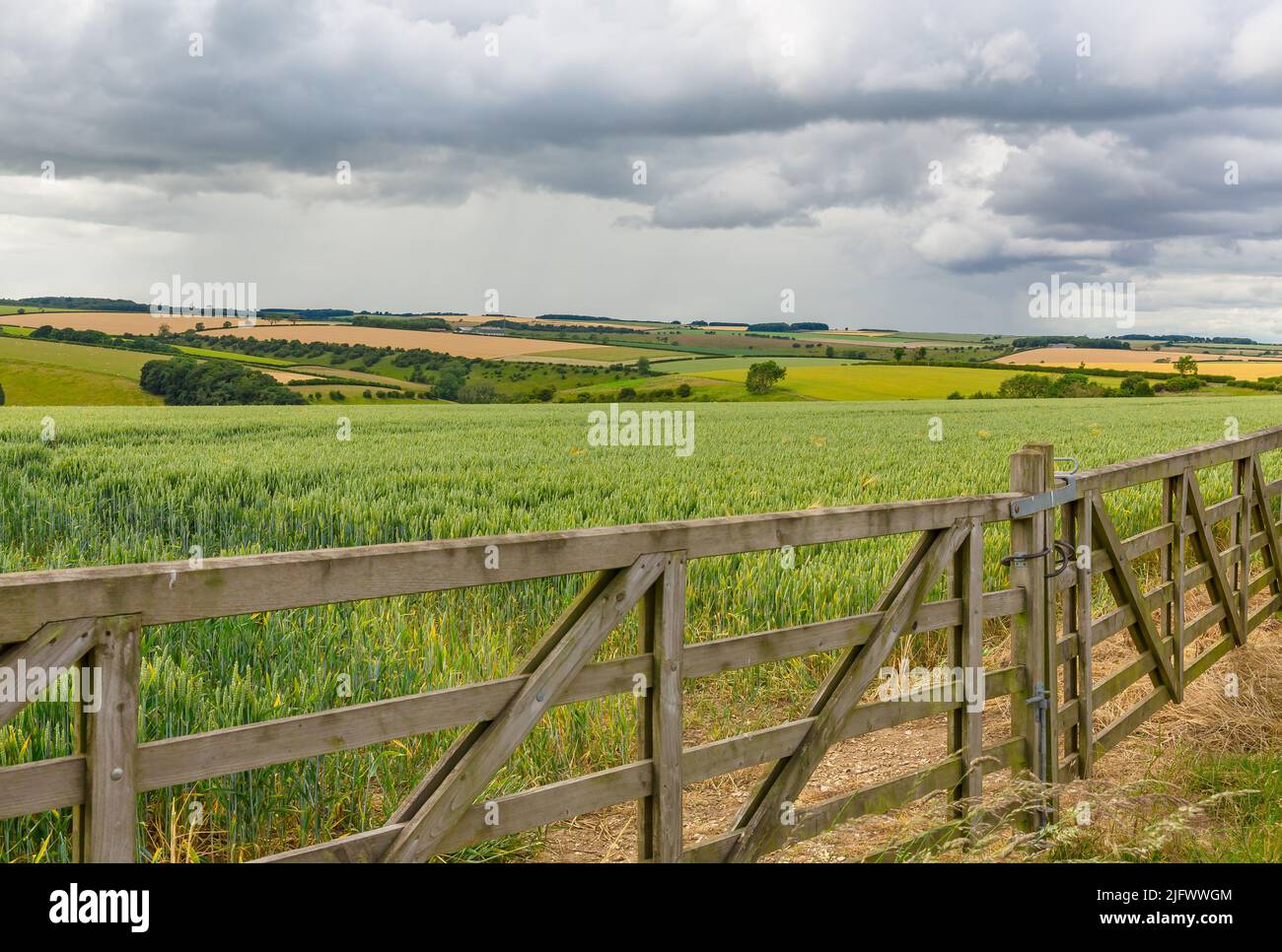 Die Yorkshire Wolds im Sommer mit doppelten Bauernhoftoren, bunten Pflanzen, Weiden, Wäldern und bewölktem Himmel. East Yorkshire, Großbritannien. Horizontal. SPA kopieren Stockfoto