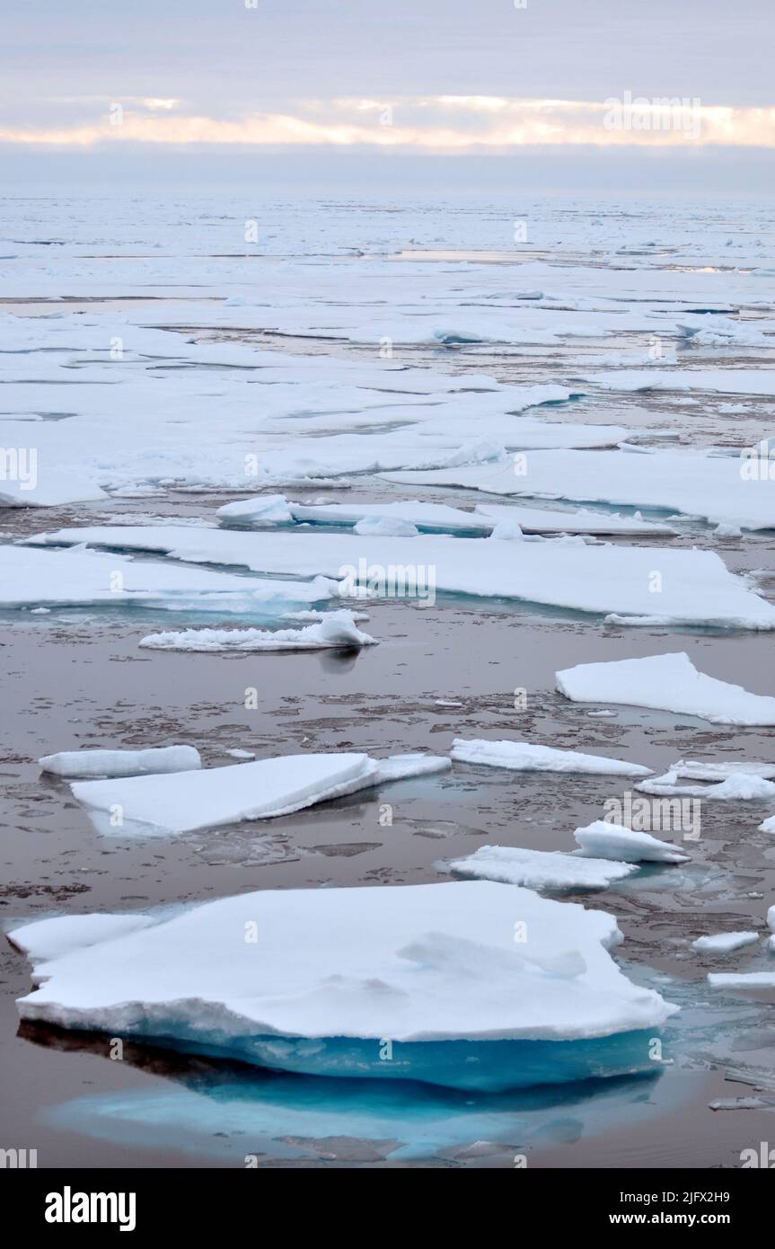 Arktisches Eis. Eis wird vom Rumpf des Küstenwache-Schneiters Healy weggedrückt. Blick von einem USGS-Erkundungsschiff, Arktischer Ozean, August (2009) Quelle: P.Kelley, USCG Stockfoto