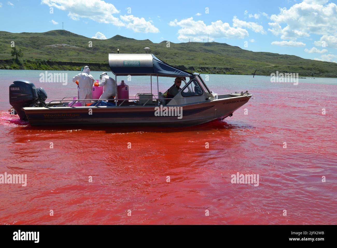 US Geological Survey Flusswissenschaftler untersuchen das Schicksal von balligen Störlarven am Upper Missouri River in Montana.die rote Farbstoffspur (Rhodamin-WT) in diesem Bild wird zur Berechnung der nachgelagerten Dispersionsrate verwendet. Ein besseres Verständnis der Dynamik, in der sich die Larven stromabwärts bewegen und wie lange sie sich sicher absetzen und mit der Fütterung beginnen müssen, kann zu wichtigen Erholungsmöglichkeiten für diesen gefährdeten Fisch führen. Kredit: USGS Stockfoto