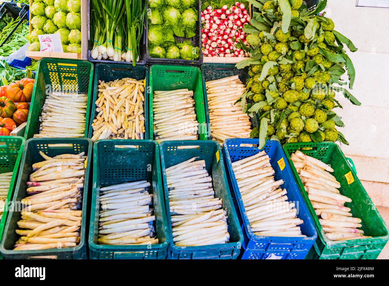 Weißer Spargel, eine Ikone der Landwirtschaft von La Ribera. Weißer Spargel wird geerntet, wenn er nur Triebe sind und noch nicht an die Oberfläche gekommen ist. Die r Stockfoto