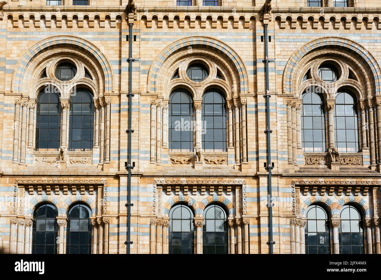 Detailfassade. Die Hauptfassade des Naturhistorischen Museums. Das Natural History Museum in London ist ein Naturkundemuseum, das eine große Auswahl an Exponaten bietet Stockfoto
