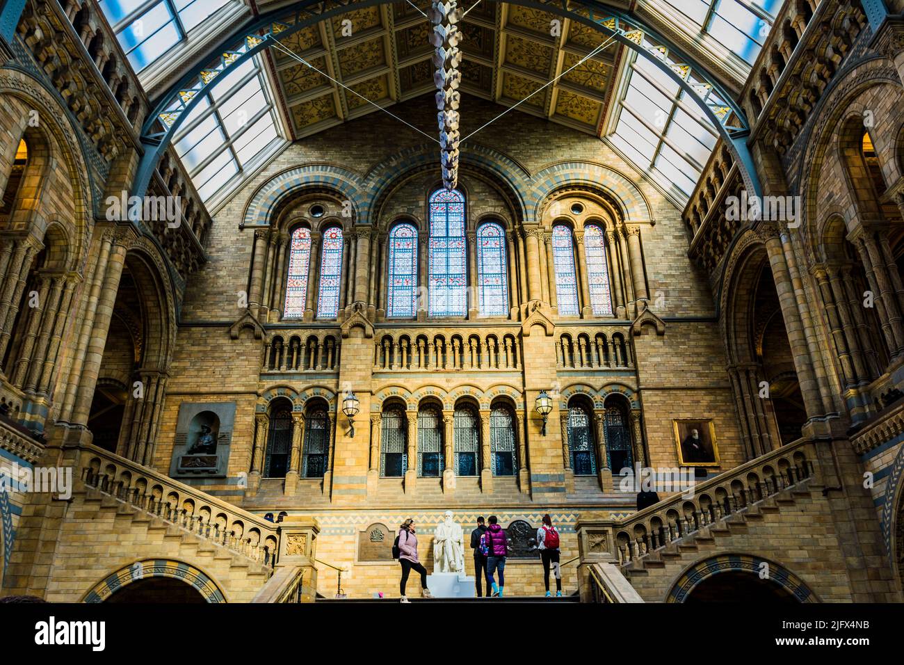 Treppe der Hintze Hall. Whale skelton, genannt Hope, in der Hintze Hall. Naturkundemuseum. Kensington & Chelsea, , London, United Kindom, Europ Stockfoto