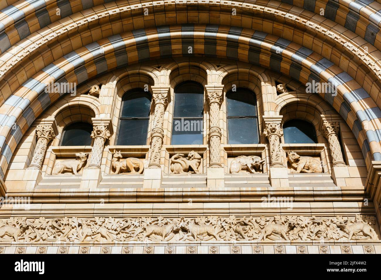 Eingang, romanisches Portal. Die Hauptfassade des Naturhistorischen Museums. Das Natural History Museum in London ist ein Naturkundemuseum, das ausgestellt wird Stockfoto