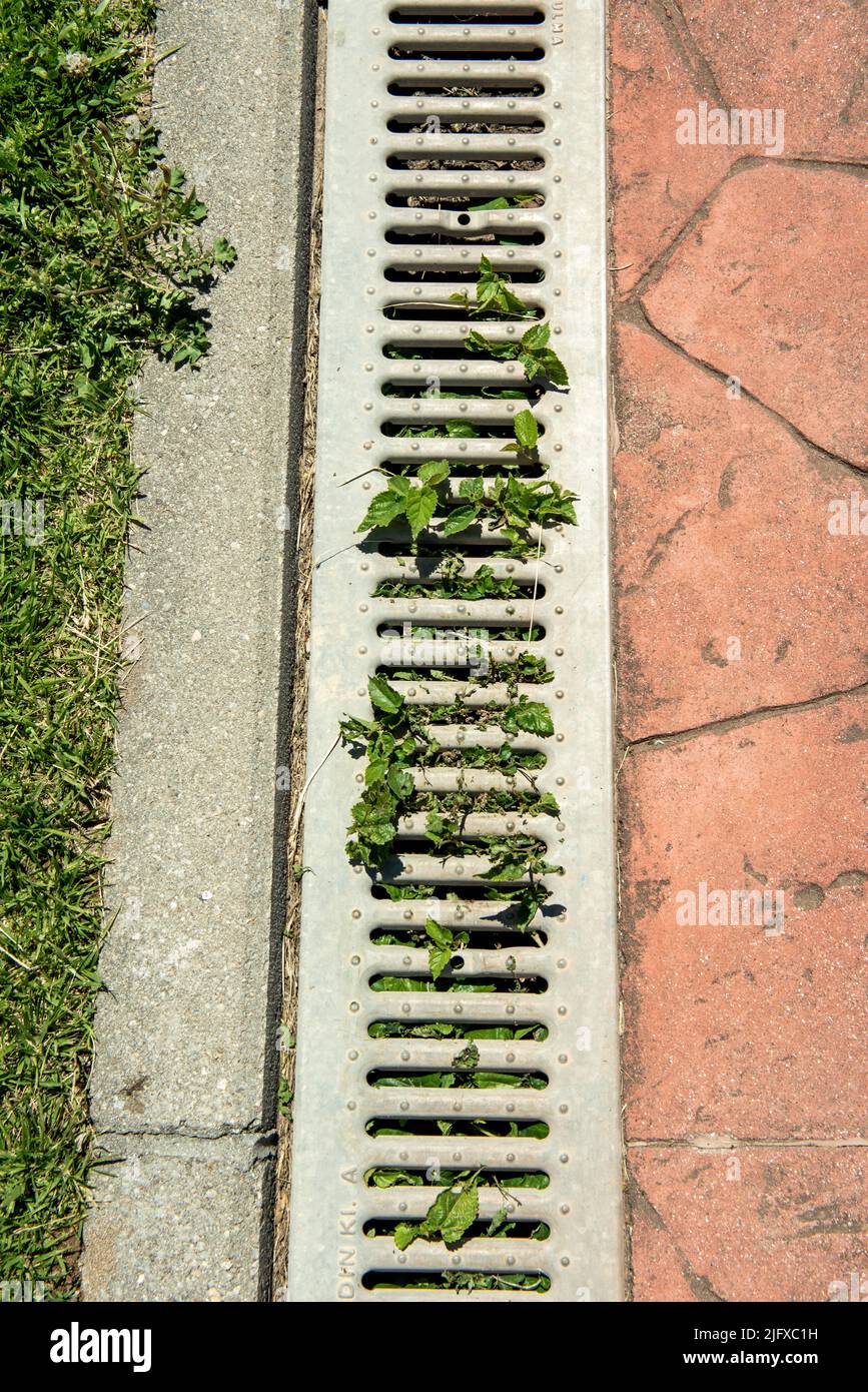 Boden eines Parks mit Metallabfluss zwischen den Fliesen des Gehwegs und dem grasbewachsenen Garten Stockfoto