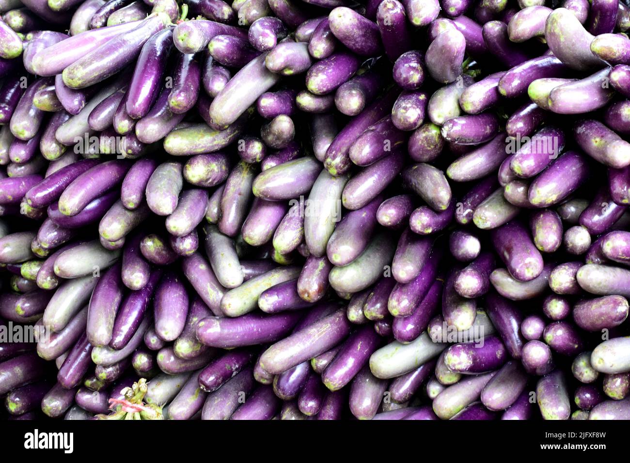 Auberginen-Gemüse. Ansicht mit dem Muster für brinjales Gemüse. Auberginen-Lebensmittel gesund für die menschliche Gesundheit Stockfoto