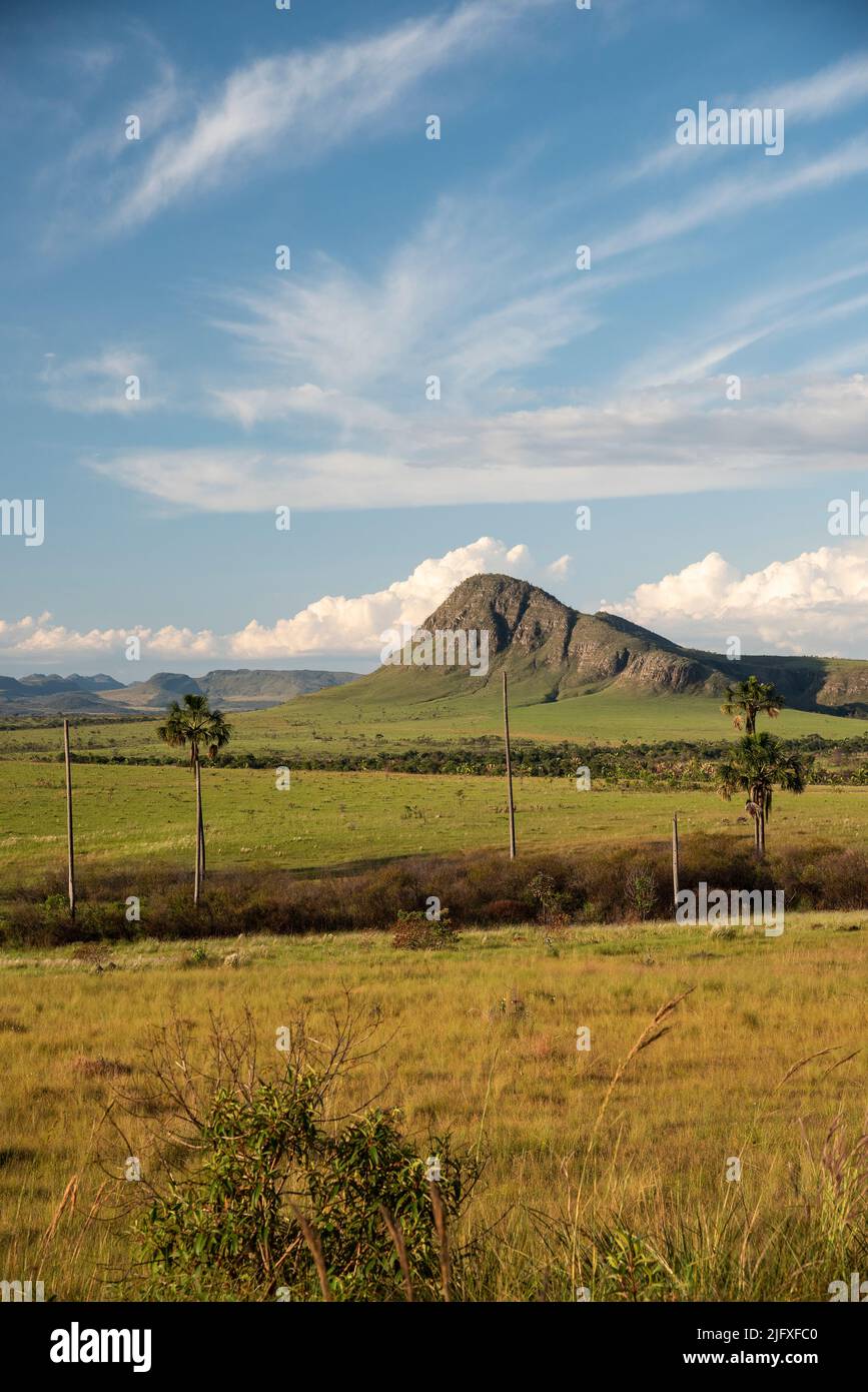 Schöner Blick auf die typische Cerrado Landschaft mit Bergen Stockfoto