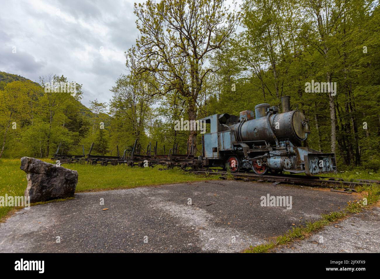 Waldbahn Reichraming, alte Museum Schmalspurbahn in der Nähe von Reichraming, Österreich. Blick auf die Dampfmaschine und eine Reihe von Waggons dahinter. Stockfoto