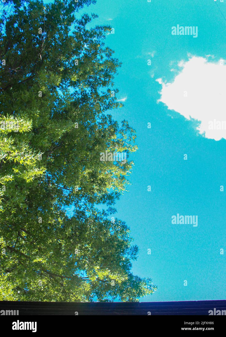 Der Himmel ist die Grenze Stockfoto