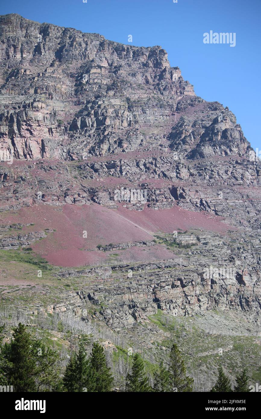 Farbenfrohe, rot-goldene Belt-Serie mit sedimentärem Argillit und Kalkstein, sichtbar auf den steilen Klippen von Goat Mountain, Glacier National Park, MT, USA Stockfoto