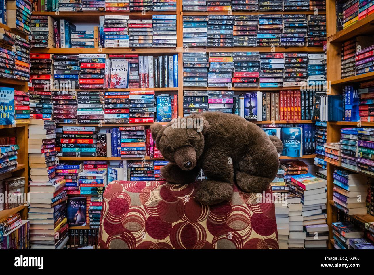 Bearly Used Books ist ein gebrauchter Buchladen in Parry Sound, Ontario, Kanada Stockfoto