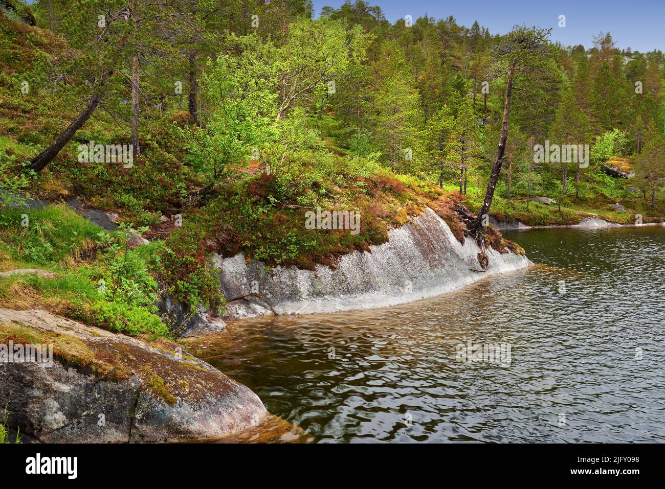 Ein Seeufer in der Nähe eines Greenwood. Eine Landschaft eines Wanderziels. Ein ruhiger Hügel Fluss und Wald im Frühling. Tiefe und dichte Regenwaldvegetation Stockfoto