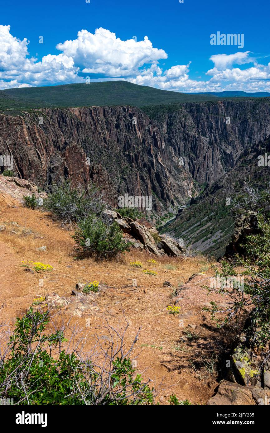 In diesem Park, der vom Gunnison River gebildet wird, sind steile Wände zu sehen Stockfoto