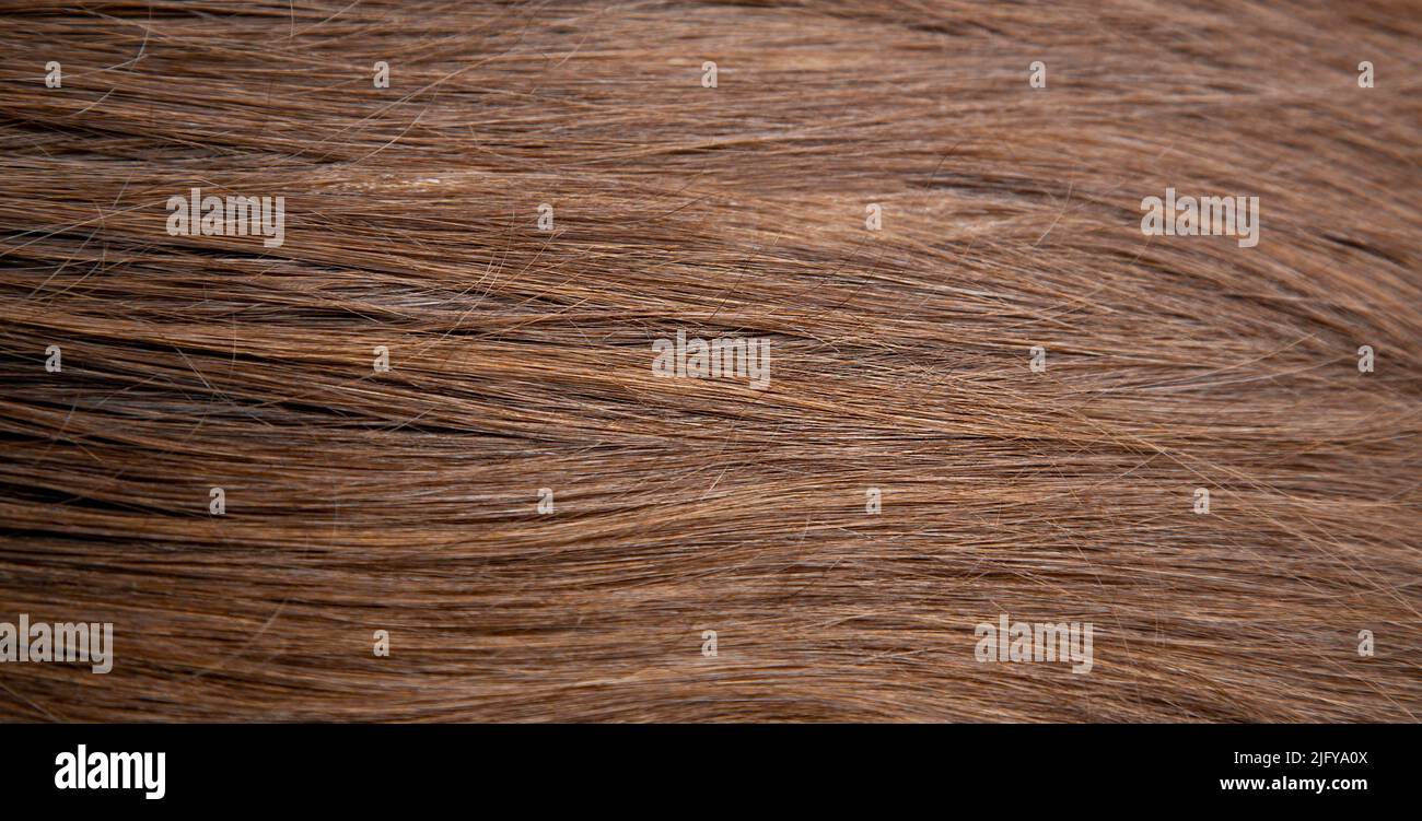 Hintergrund. Die Textur von dunkelbraunem Haar. Glattes Haar, Farbe: Dunkelbraun. Dickes, gesundes, natürliches Haar. Die Haarlinie. Stockfoto
