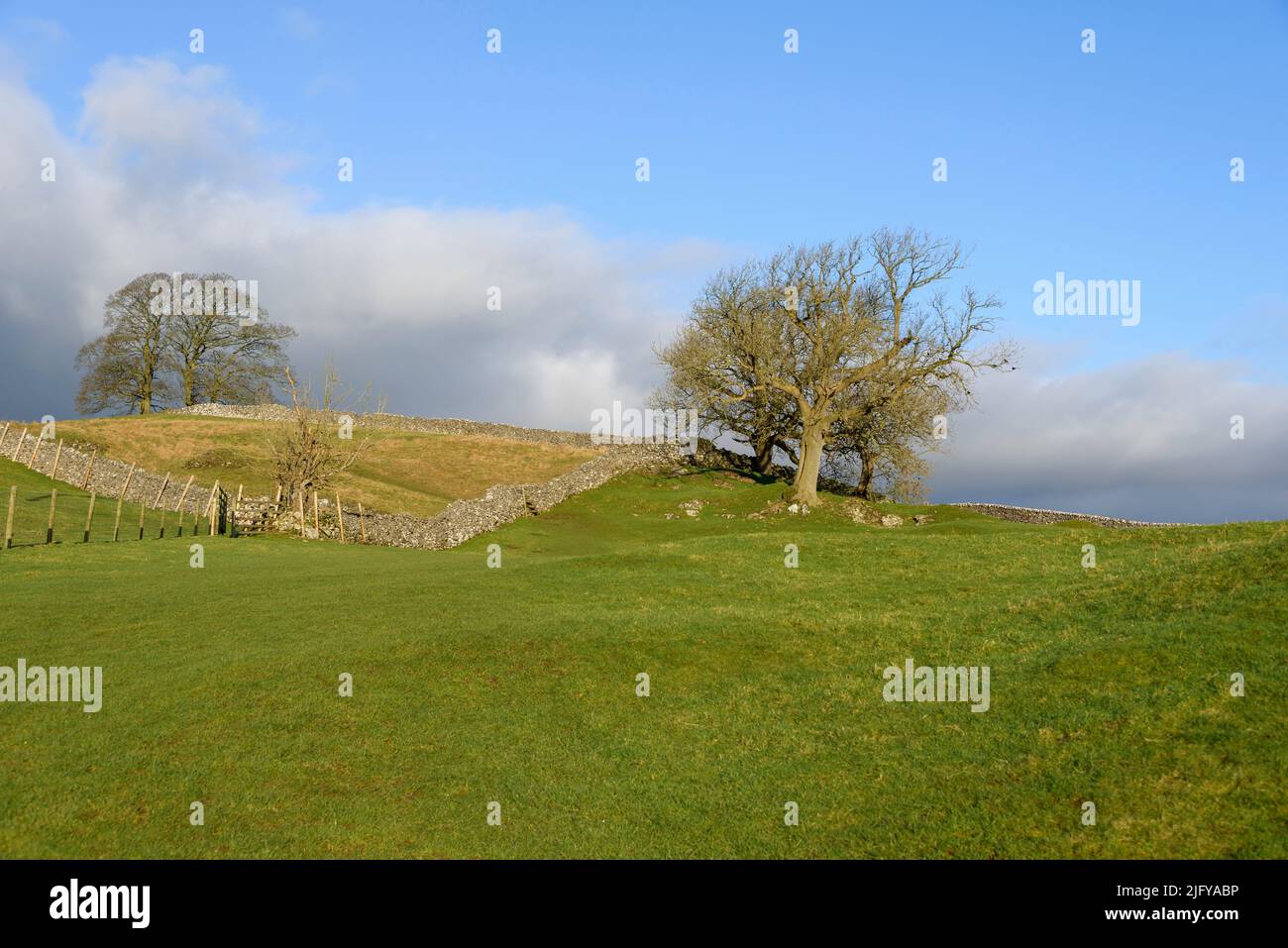 Blick zwischen Burnsall und Thorpe in den Yorkshire Dales Stockfoto