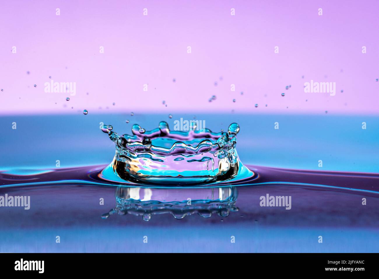Wasserspritzer isoliert auf violettem Hintergrund. Stockfoto