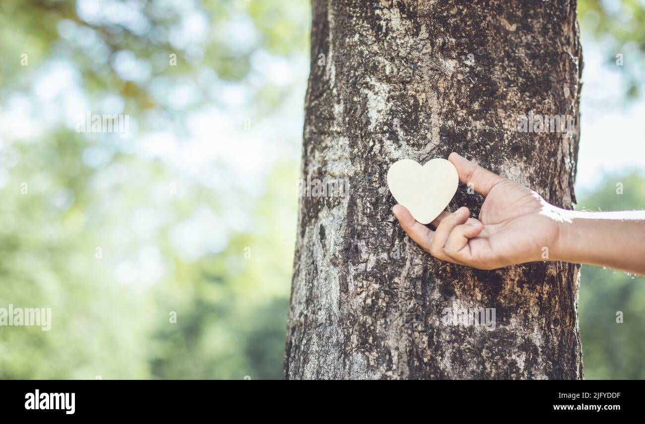 Baum umarmt. Asiatischer Mann, der sich auf einem großen Teakholz umarmt. Liebe Baum und Natur oder Umwelt Konzept Stockfoto