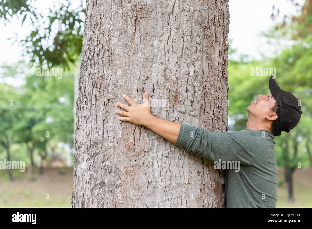 Baum umarmt. Ein asiatischer Mann umarmt sich am großen Mangobaum. Achten Sie auf die Erde, Liebe Baum und Natur oder Umwelt Konzept Stockfoto