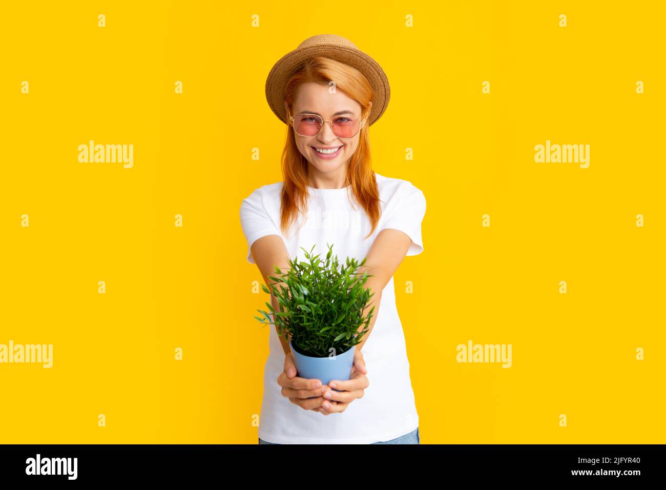 Mädchen getopft Pflanzen auf gelben Studio. Frau pflanzt Blumen in den Topf. Stockfoto