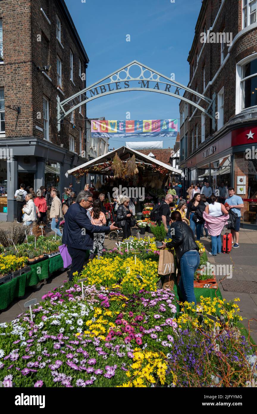 Blumen am Eingang zum Shambles Market, York, North Yorkshire, England, Vereinigtes Königreich, Europa Stockfoto