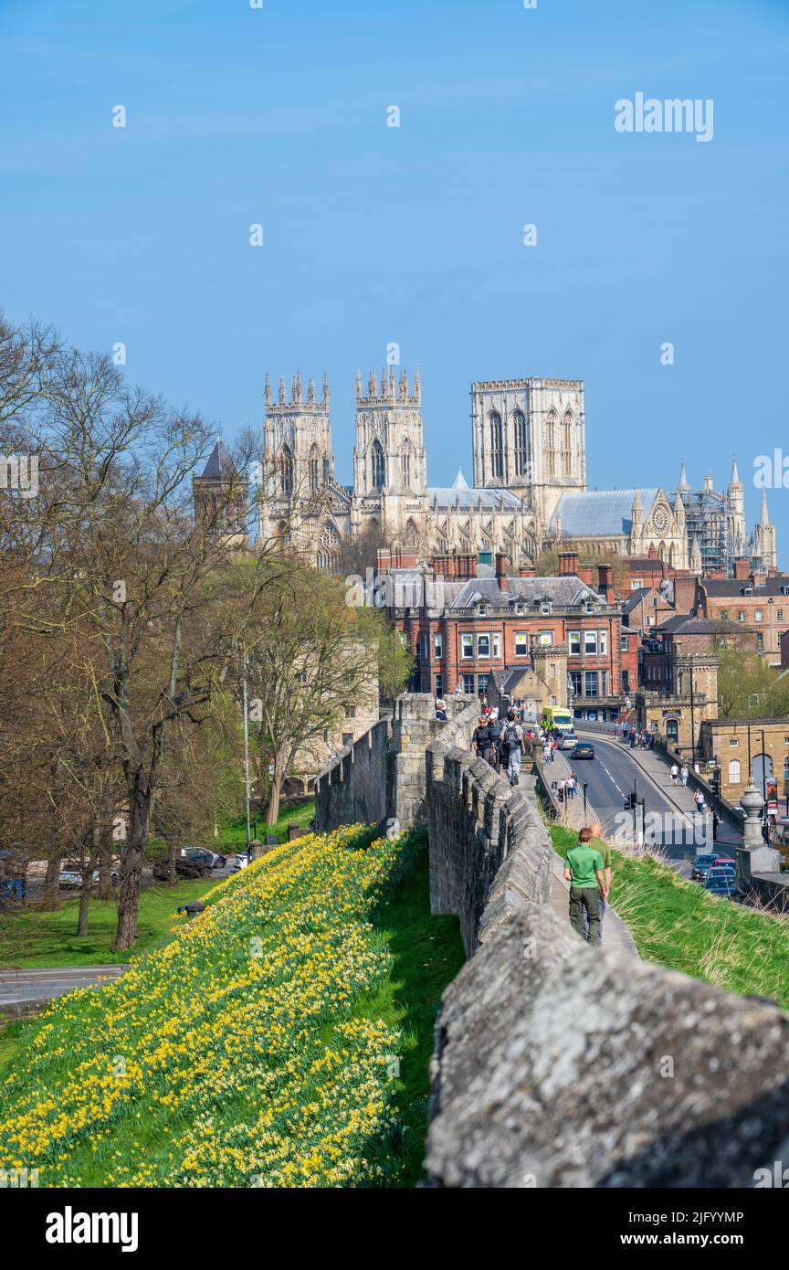 York Minster, Lendal Bridge und City Walls im Frühjahr, York, North Yorkshire, England, Vereinigtes Königreich, Europa Stockfoto