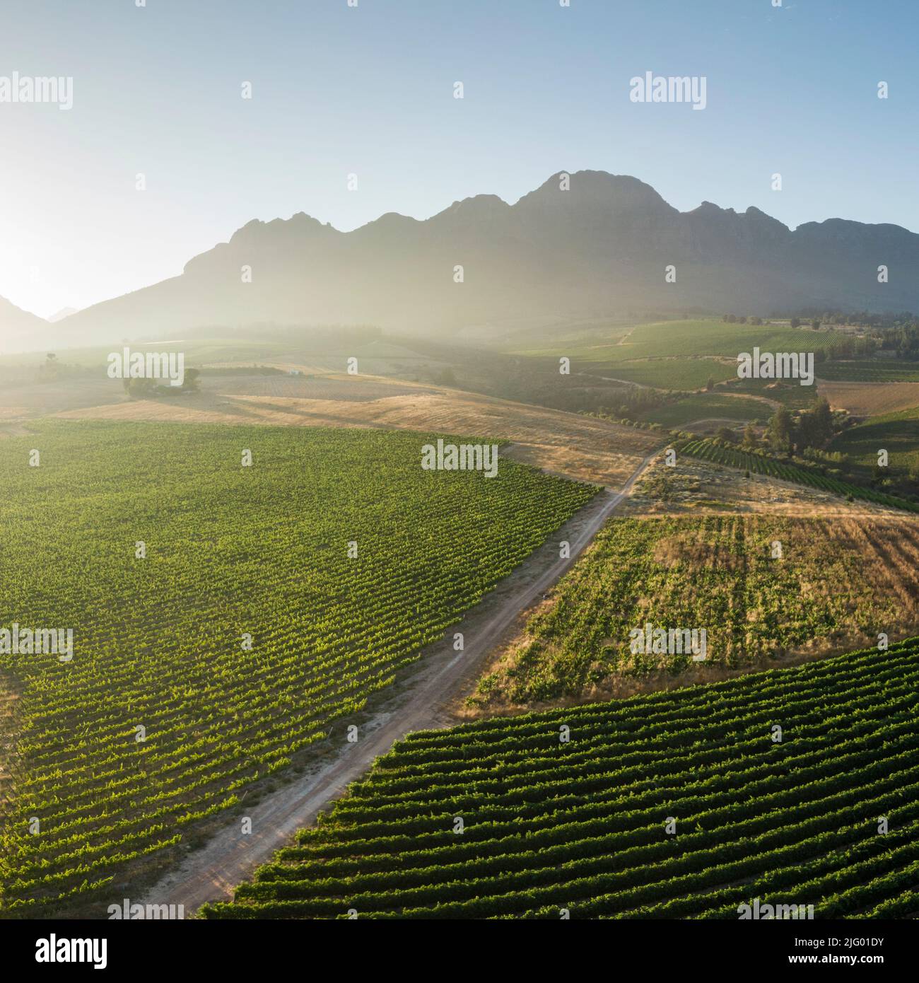 Luftaufnahme der Weingüter in der Nähe von Stellenbosch, Westkap, Südafrika, Afrika Stockfoto