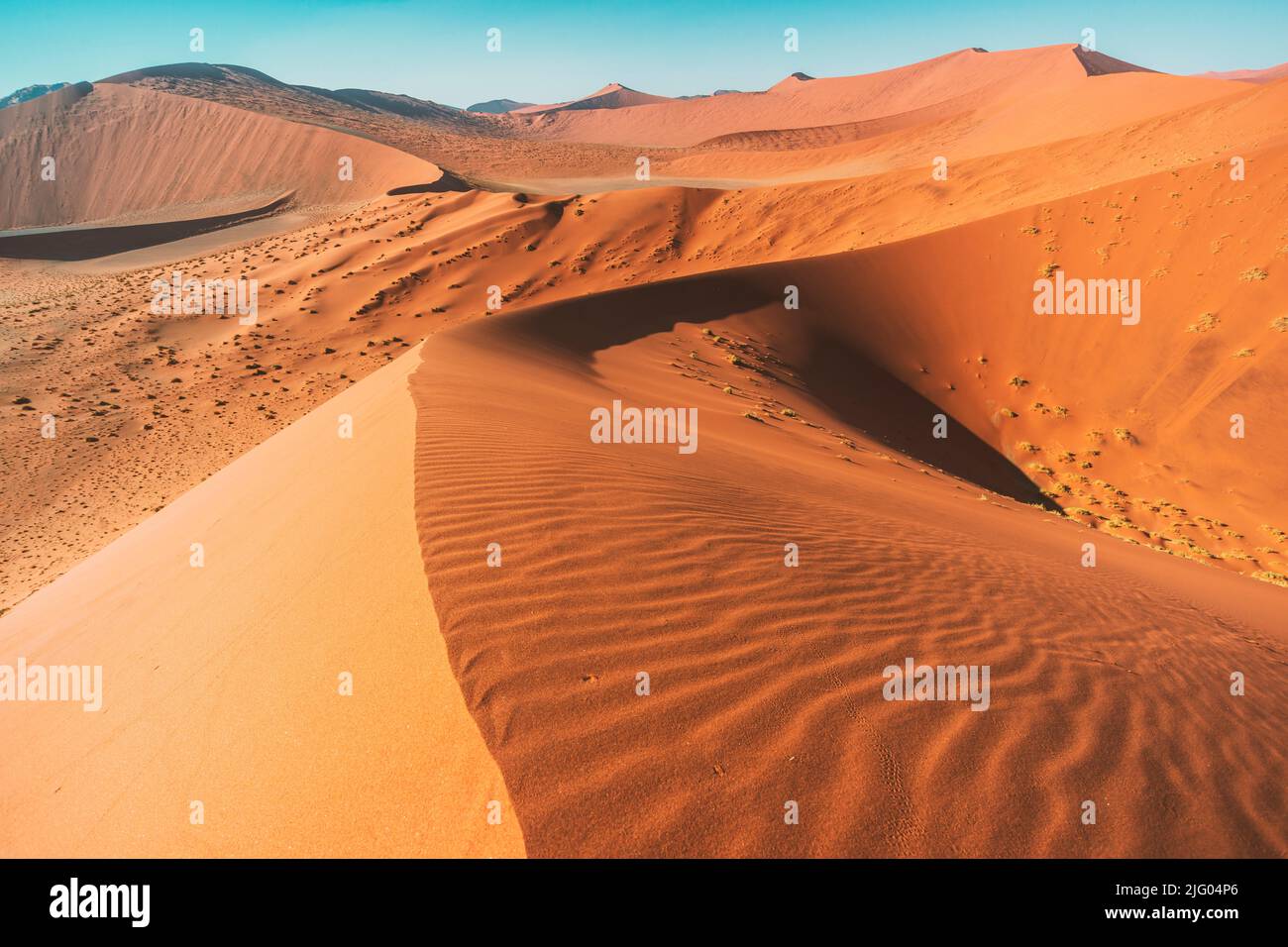 Heller, sonniger Tag an roten Sanddünen des Sossusvlei-Tals in Namibia Stockfoto