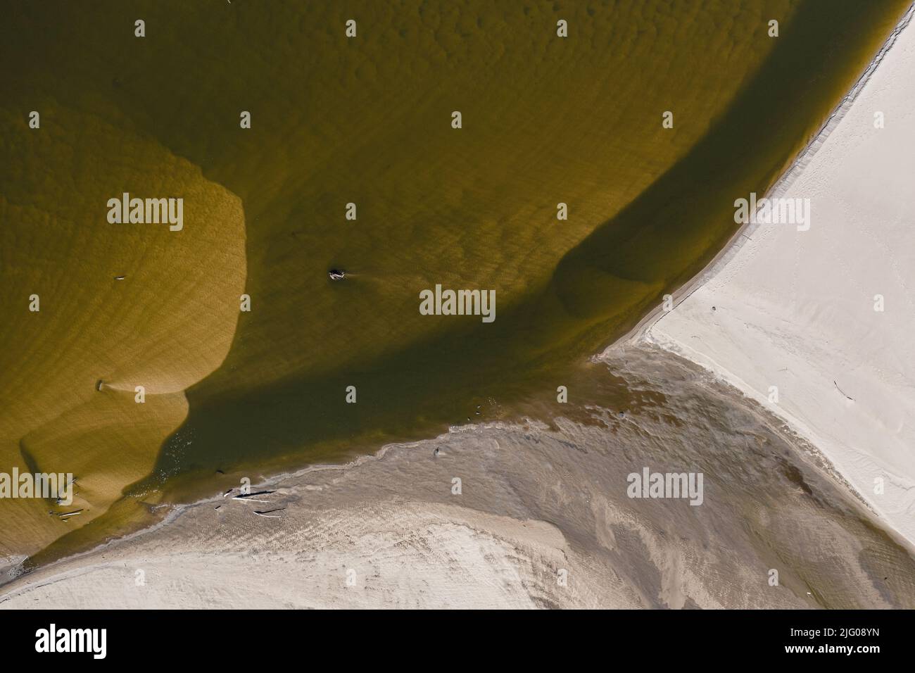 Niedriger Wasserstand in der Weichsel, Auswirkungen der Dürre aus der Vogelperspektive. Von oben nach unten perspektivische Landschaft. Stockfoto