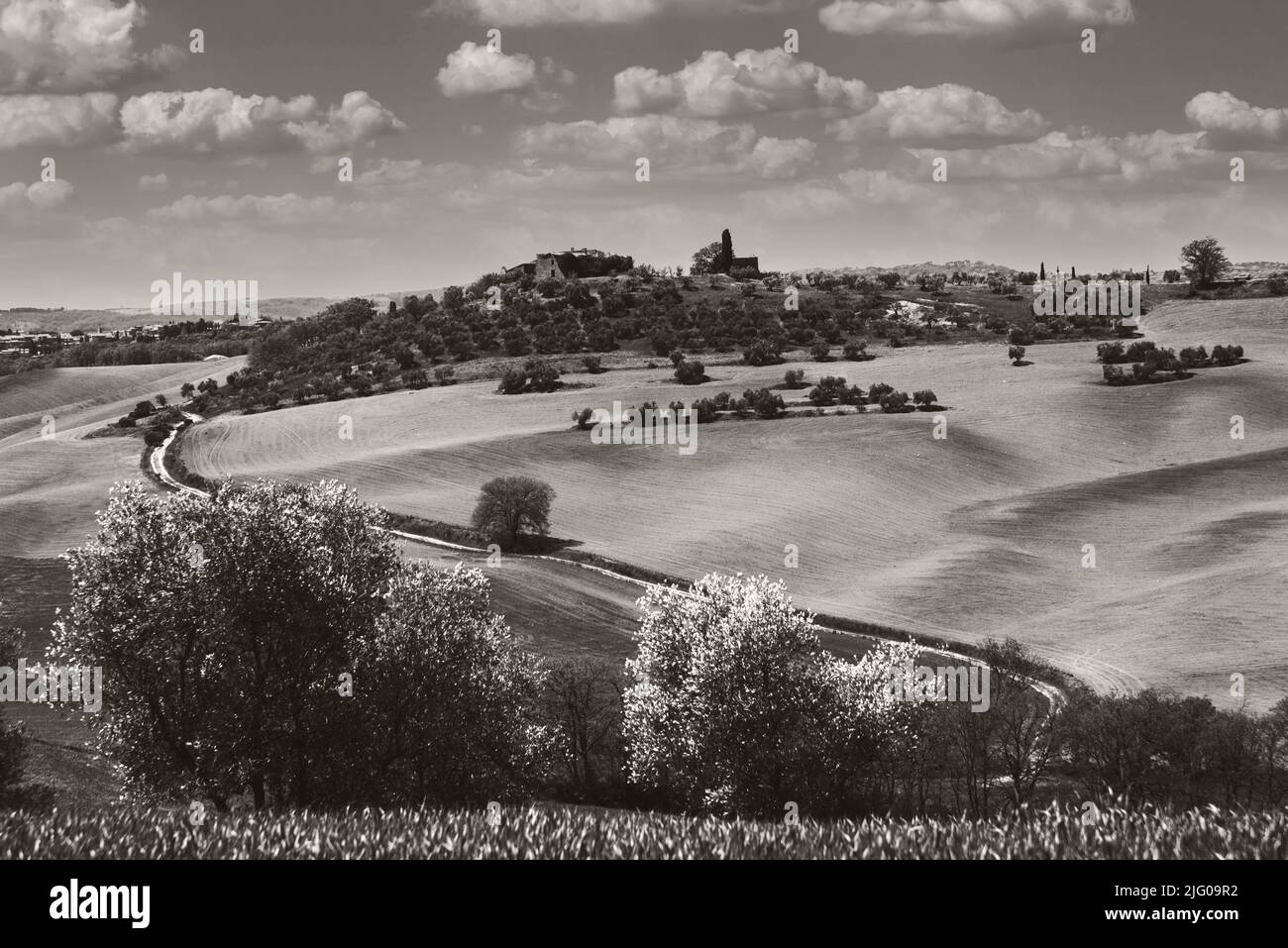 Toskana, Italien. Val d'Orcia malerische hügelige Landschaft mit typischen Bauernhaus umgeben von Zypressen und Olivenbäumen Obstgarten. Sepia-Foto Stockfoto