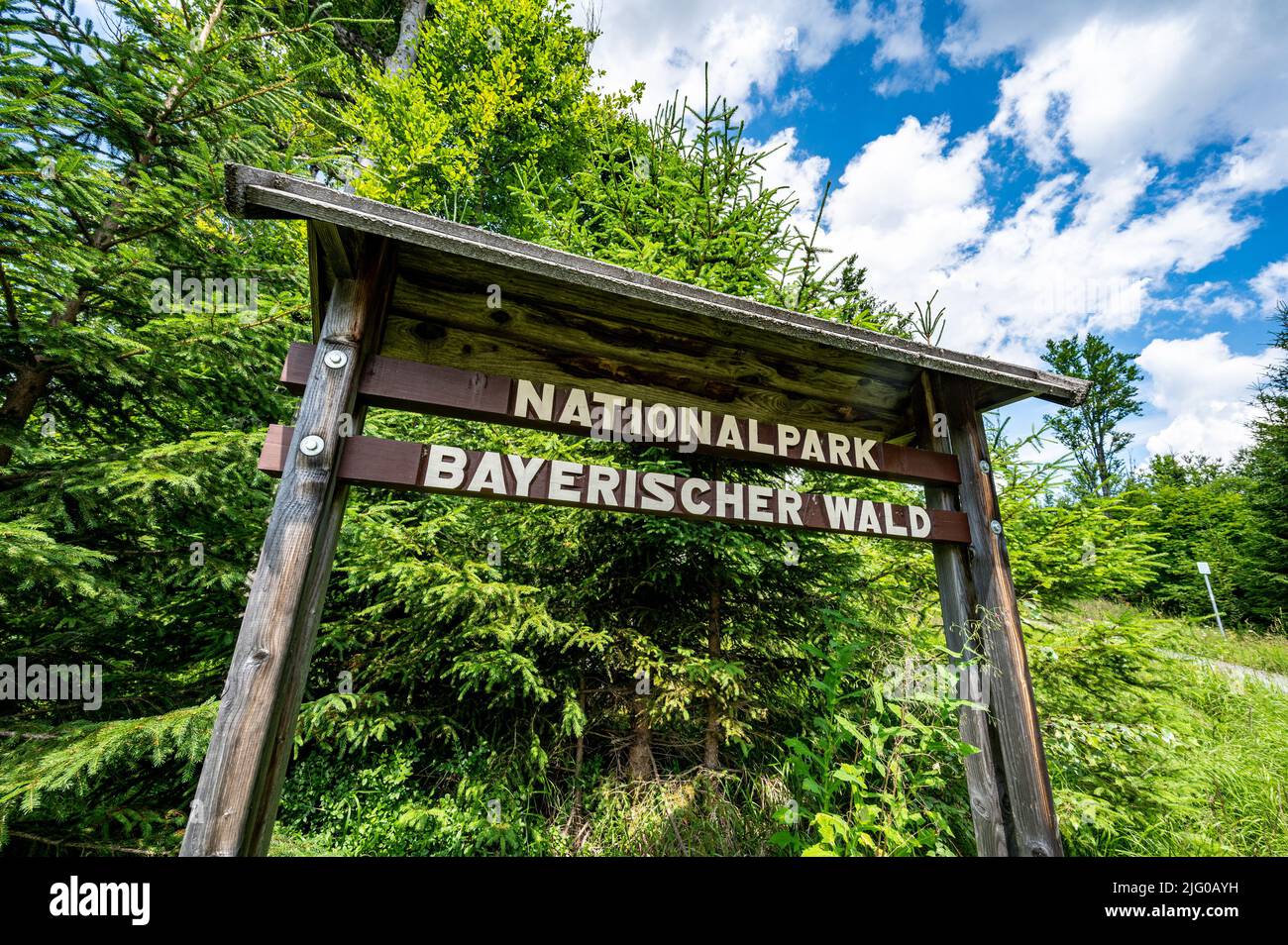 Mauth Mauth, Deutschland. 06.. Juli 2022. Nationalpark Bayerischer Wald ist ...