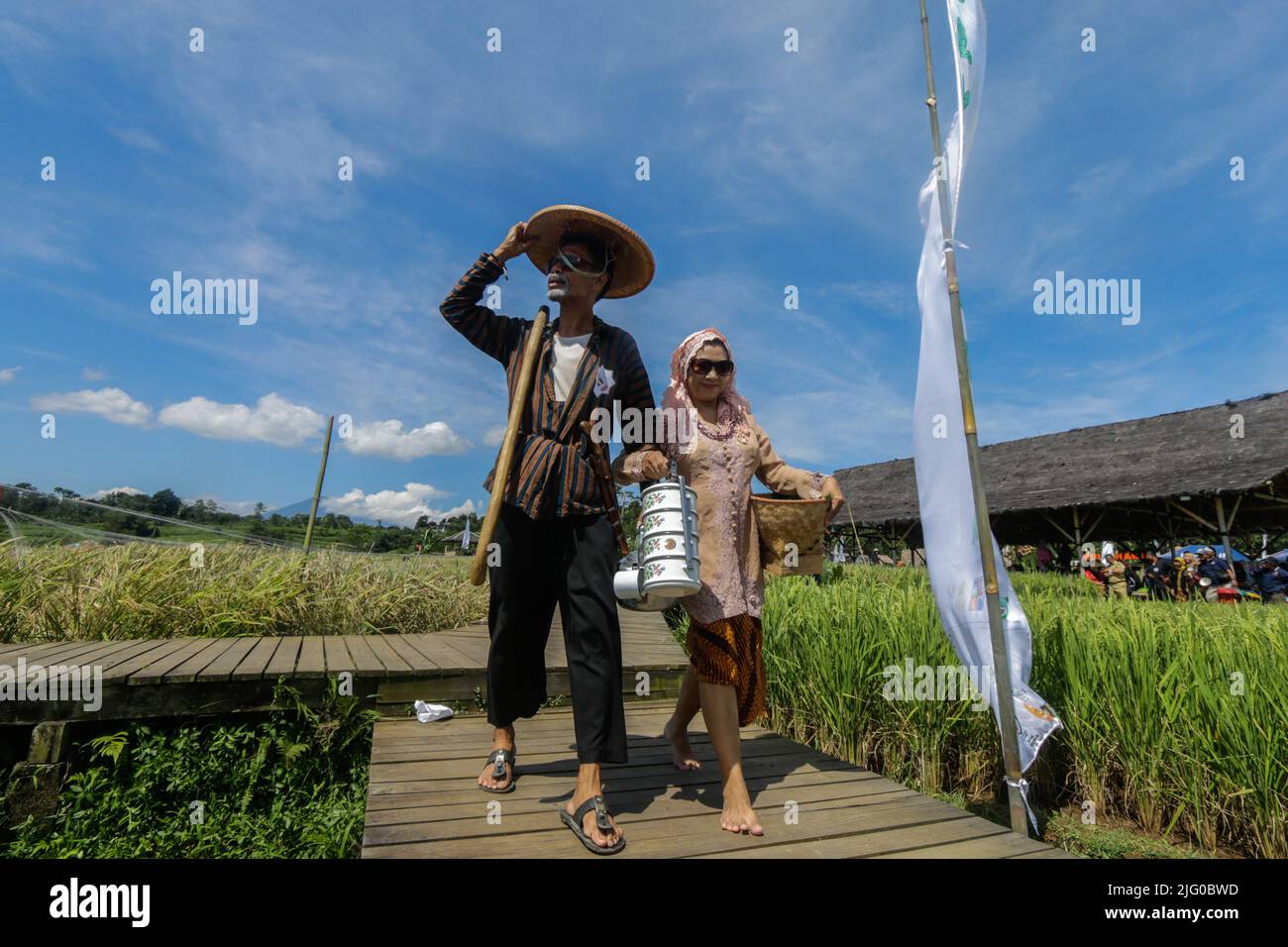Farmers take a Catwalk in the Middle of rice fields, Bogor City, Indonesia, 5. Juli 2022, Förderung von Reisfeldern als touristisches Gebiet Stockfoto