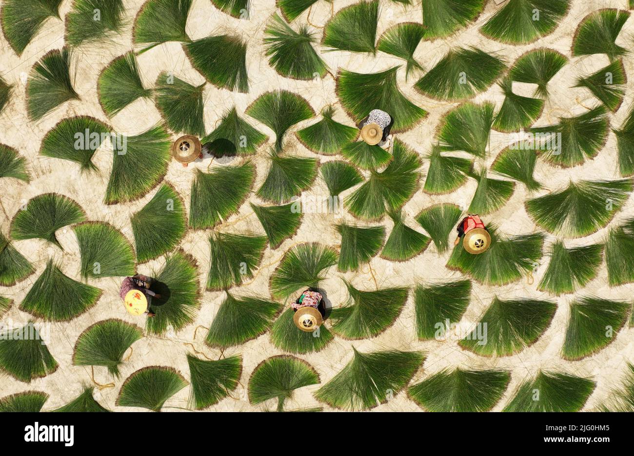 Peking, China. 6.. Juli 2022. Das Luftfoto vom 6. Juli 2022 zeigt Bauern, die in einem Trockenhof im Dorf Jinlong der Stadt Hengyang, der zentralchinesischen Provinz Hunan, arbeiten. Quelle: Cao Zhengping/Xinhua/Alamy Live News Stockfoto