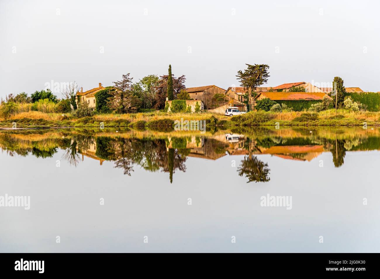 Das Feuchtgebiet Nature Reserve Bagnas mit vielfältiger Tierwelt in der Nähe von Marseille, Frankreich Stockfoto