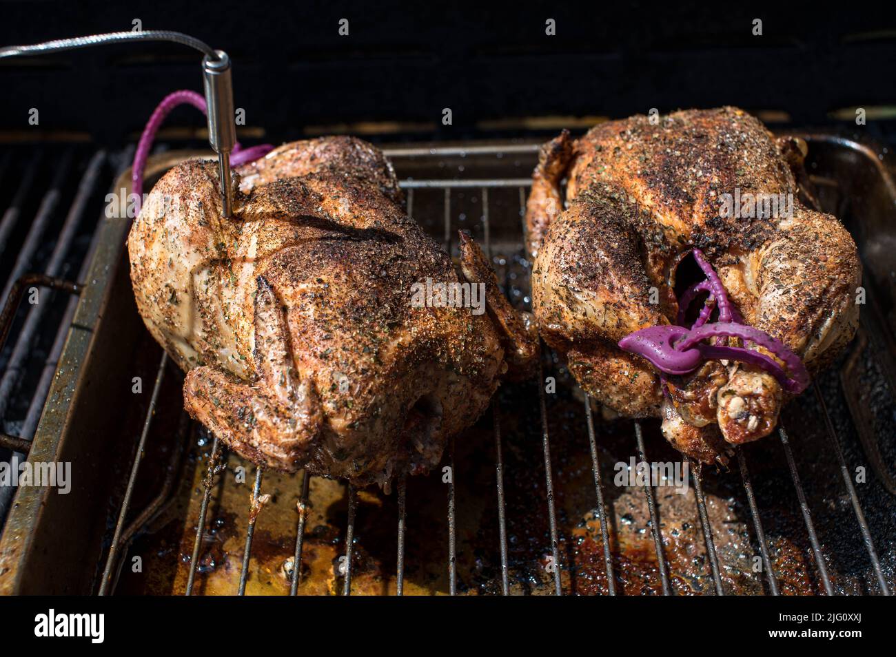 Gegrilltes Hähnchen auf einem Grill mit Fleischthermometer Stockfoto
