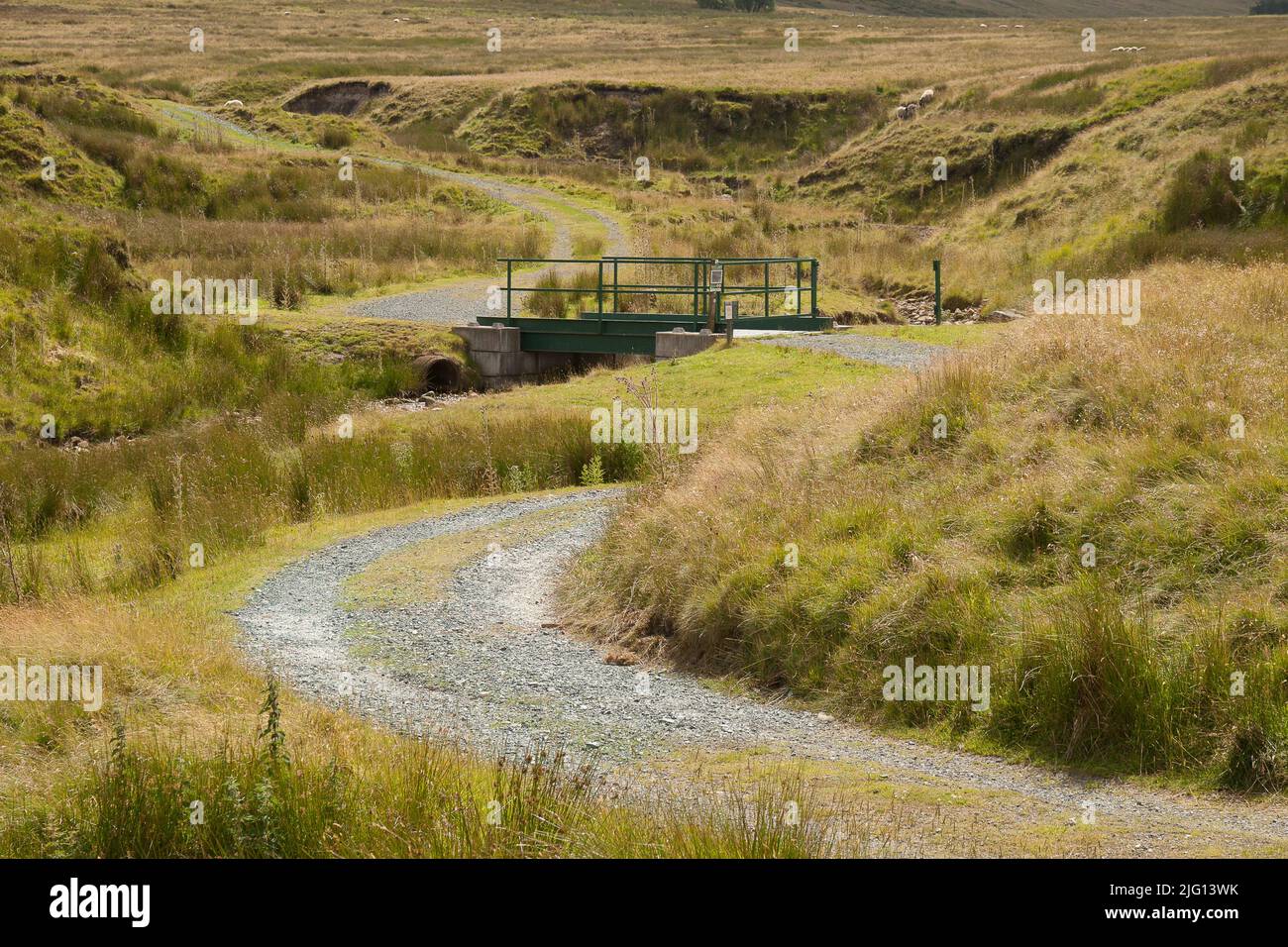 Trog des Bowland Valley im Wald von Bowland Gebiet von außergewöhnlicher natürlicher Schönheit Stockfoto
