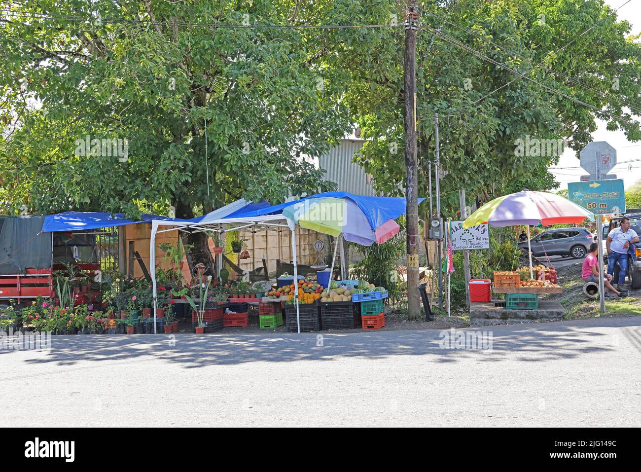 Blumen- und Obstverkäufer am Marktstand Osa Peninsula, Costa Rica, März Stockfoto