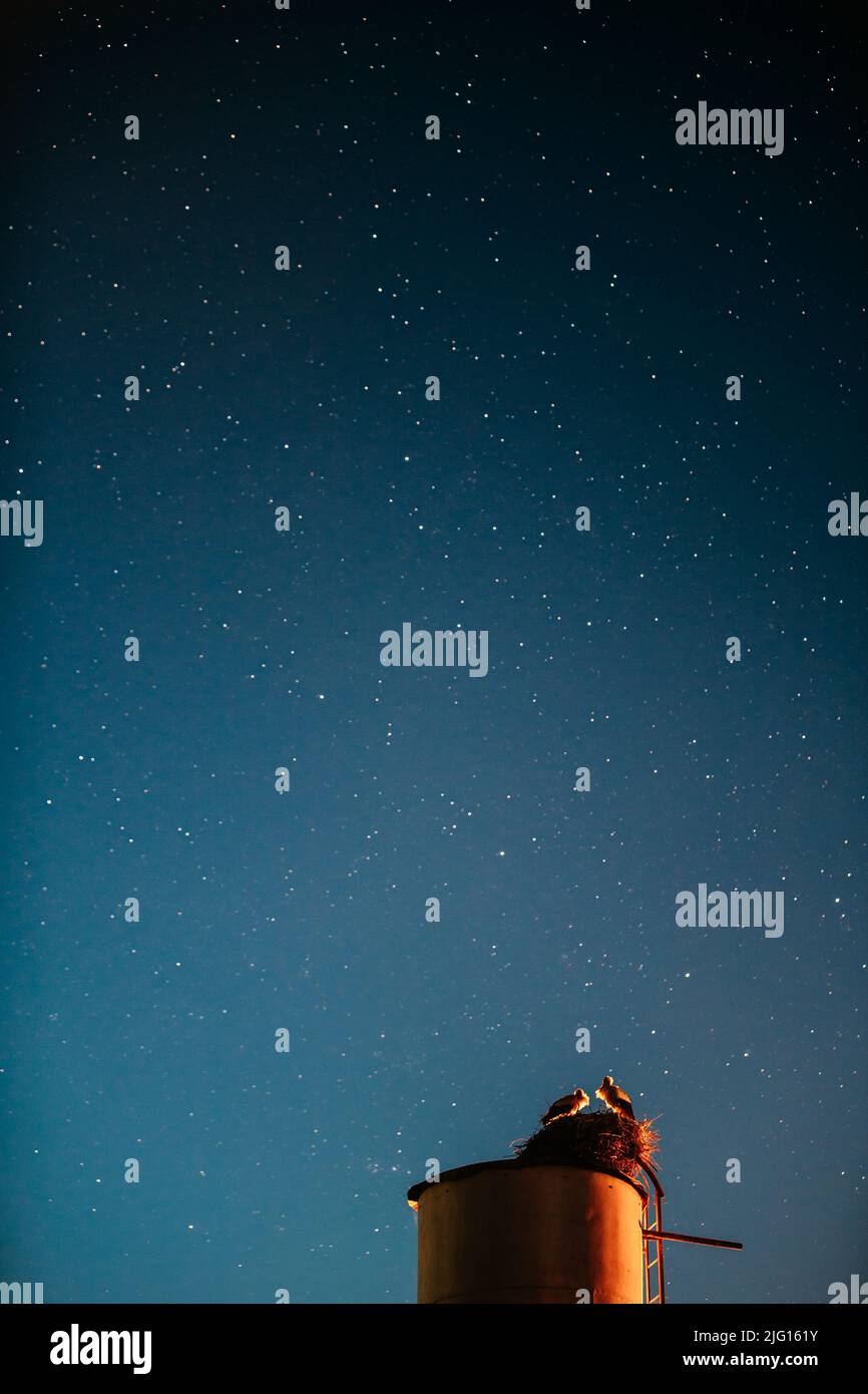 Nacht Klarer Himmel. Störche sitzen auf Einem Wasserturm. Sternenhimmel Bei Nacht. Konzept Der Nächtlichen Romantik. Familie, Beziehungen. Zwei Erwachsene Europäische Weißstörche - Stockfoto