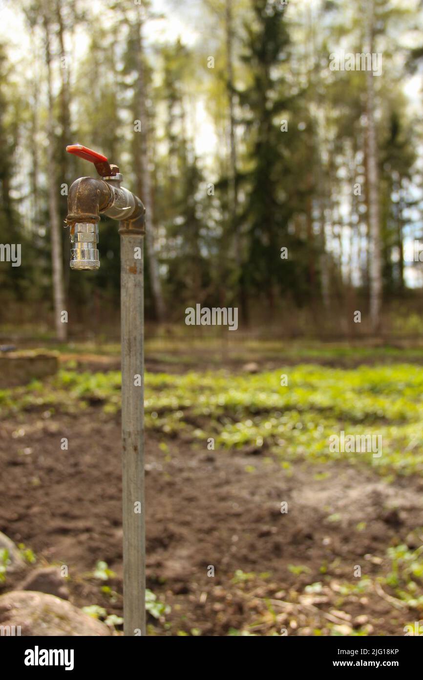 Ein alter rostiger Wasserhahn in einem Garten. Gartenhahn im Sommerhaus. Stockfoto