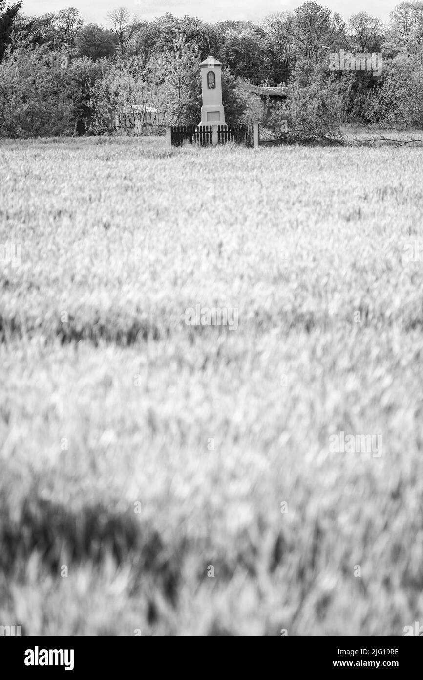 Alte Wegrand Schrein in polnischer Landschaft stehen inmitten Felder von Roggen, Infrarot schwarz und weiß Bild Stockfoto