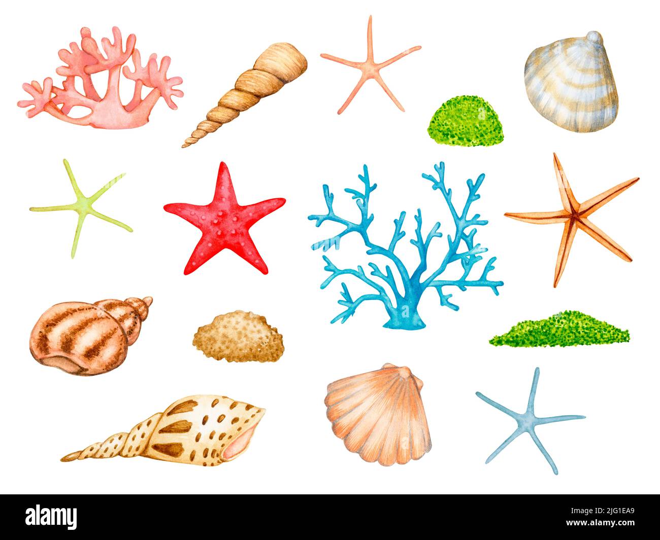 Große Reihe von Meer, Meer, Aquarium, marine Aquarell-Elemente. Muscheln, Korallen, Seesterne, Algen. Sammlung von Clipart isoliert auf weißem Hintergrund. Stockfoto