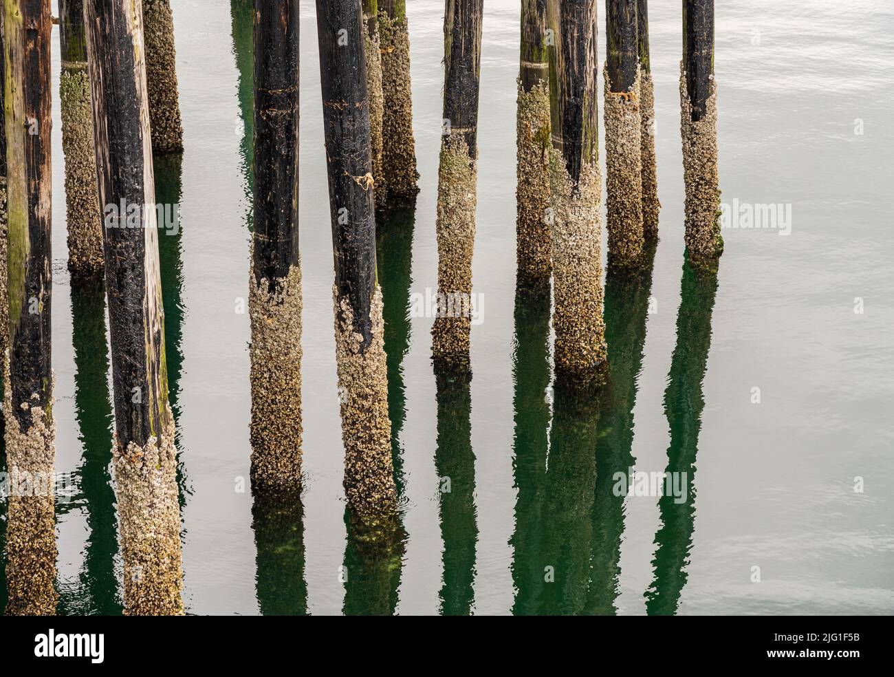Spiegelung der hölzernen Pfeiler des Piers im kalten Ozean am Icy Strait Point in Alaska an bewölktem Tag Stockfoto