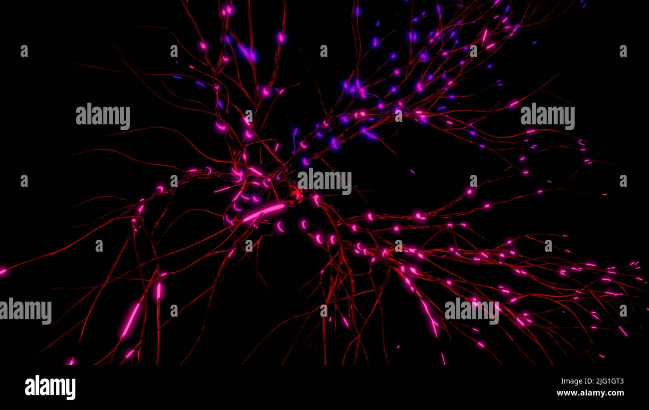 Neuronen und neuronale Verbindungen, Wissenschaftskonzept und Medizin. Bewegung. Visualisierung und neuronale Aktivität im Gehirn, Neurogenese, Neurotransmission Stockfoto