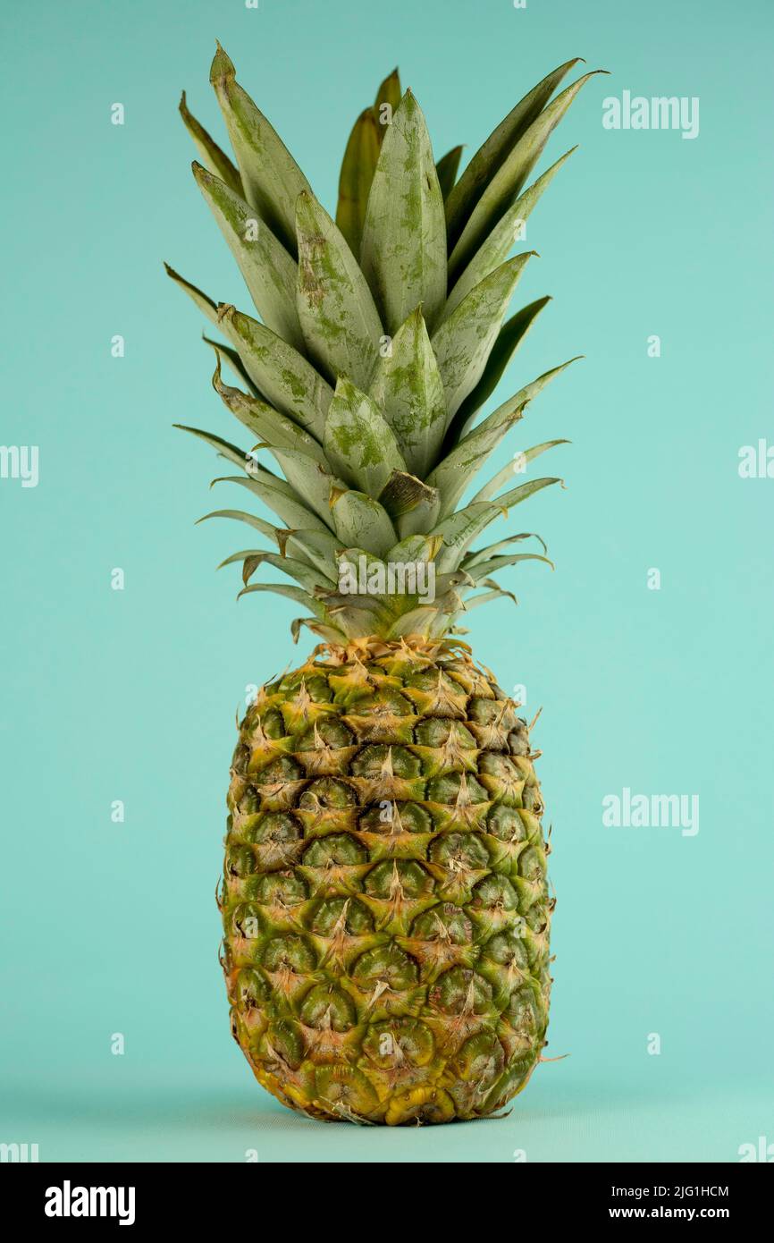 Große saftige Ananas auf pastellblauem Hintergrund Stockfoto