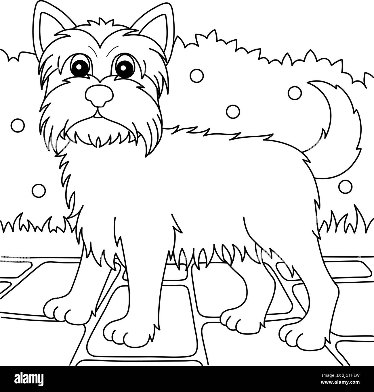 Yorkshire Terrier Dog Malvorlagen für Kinder Stock Vektor