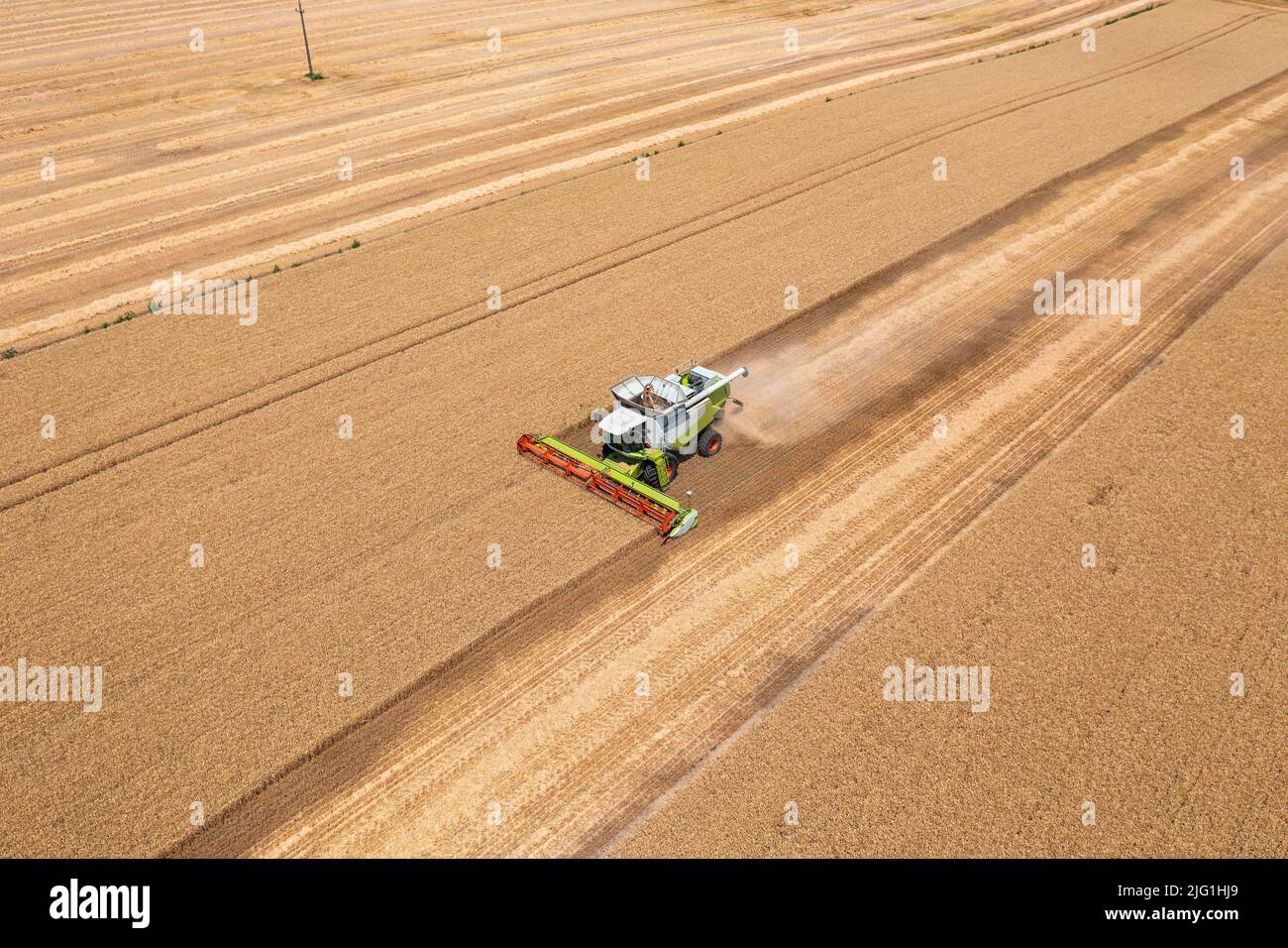 Luftaufnahme über Mähdrescher arbeiten auf Weizenfeld. Agrargeschäft, ungarische Agrarlandschaft, Lebensmittelkrise. Stockfoto