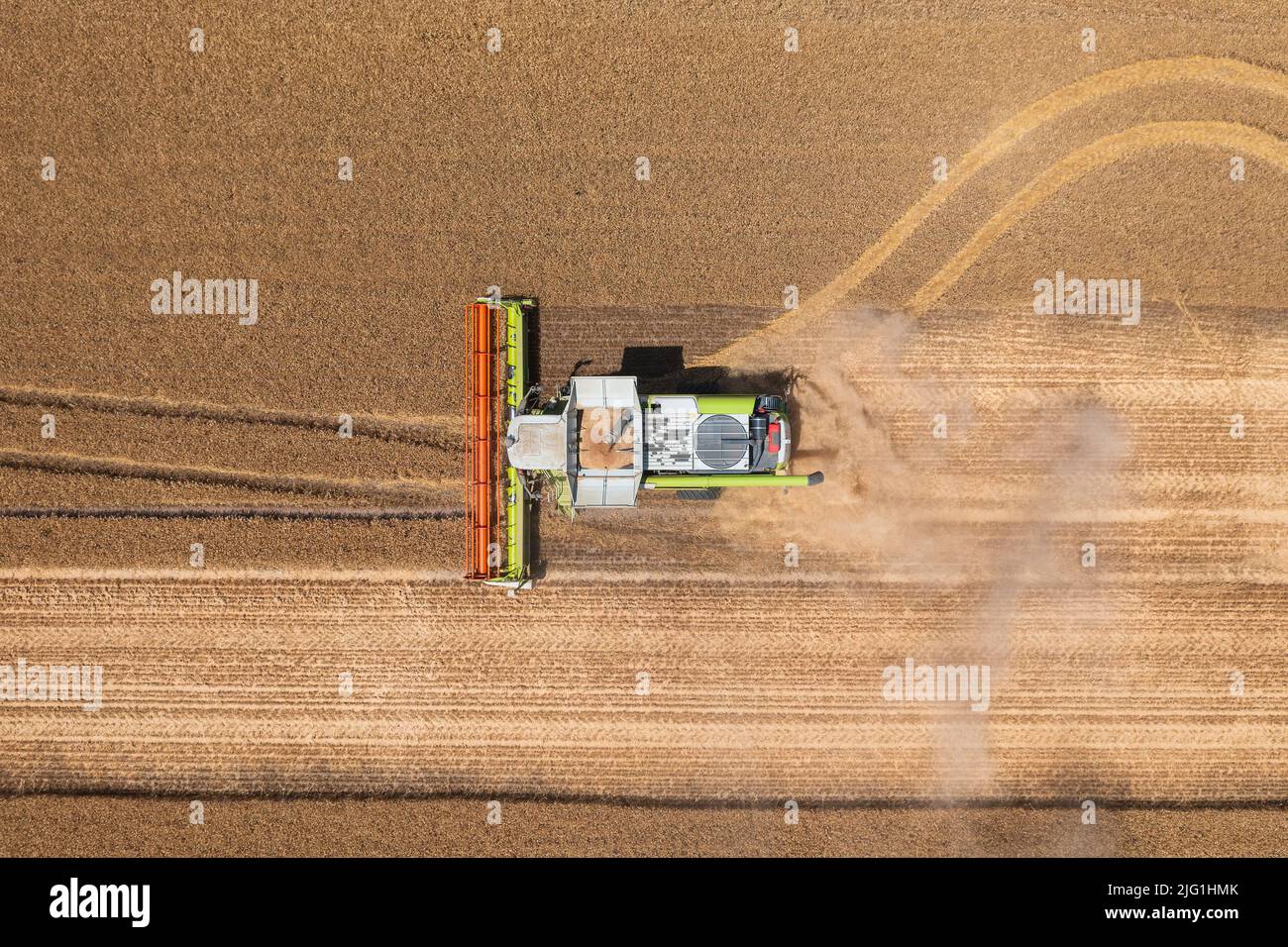 Luftaufnahme von oben nach unten über Mähdrescher, die auf Weizenfeld arbeiten. Agrargeschäft, ungarische Agrarlandschaft, Lebensmittelkrise. Stockfoto