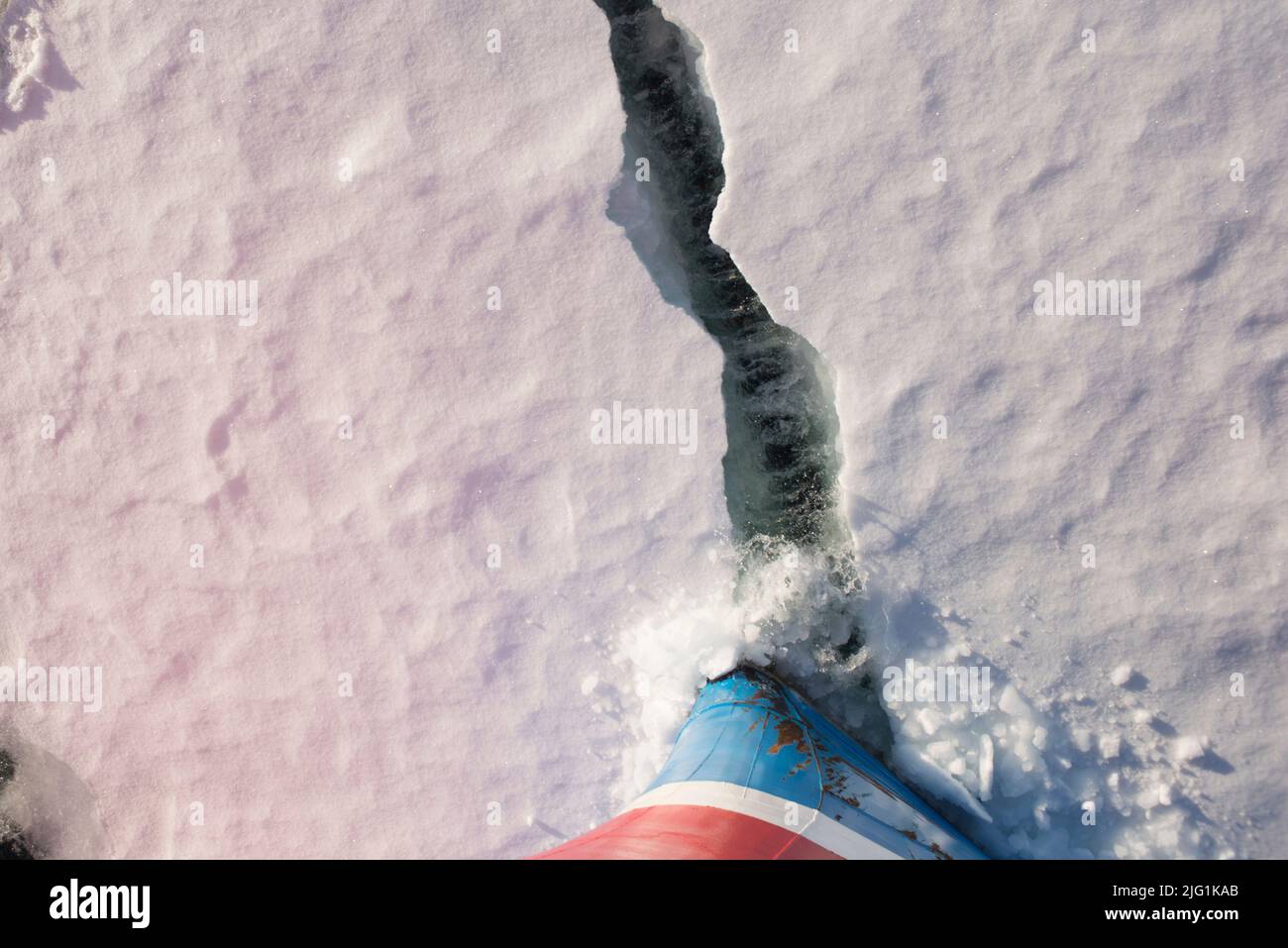 Bug des Expeditionsschiffs bricht im Crystal Sound auf der Antarktischen Halbinsel durch Eis Stockfoto