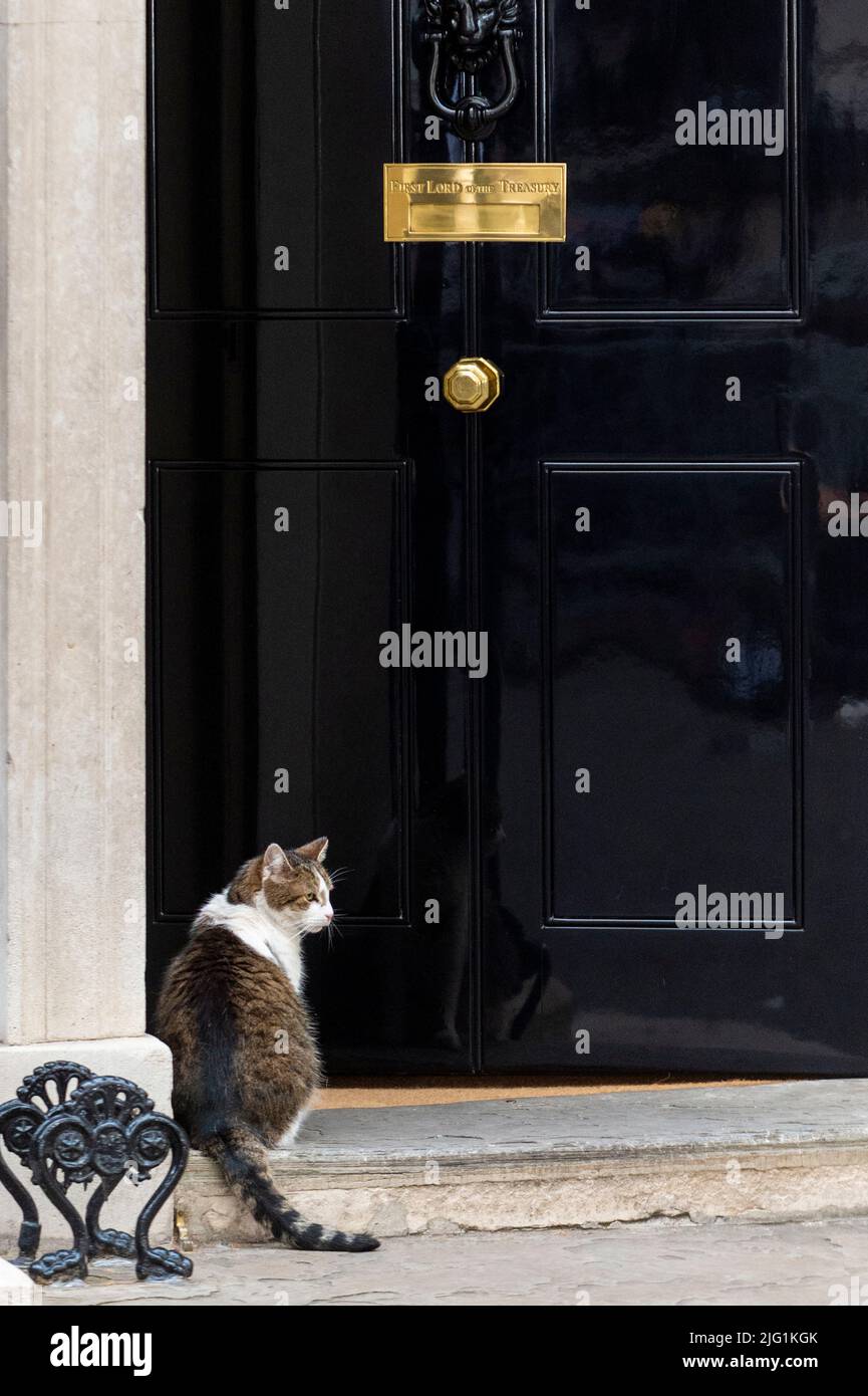 London, Großbritannien. 6. Juli 2022. Larry, die Katze, vor der Downing Street Nr. 10 an diesem Abend, an einem Tag, an dem 42 konservative Abgeordnete zurückgetreten sind, wurde Michael Gove, Leveling Up Secretary, entlassen und Boris Johnson, Premierminister, klammert sich an seine Position. Kredit: Stephen Chung / Alamy Live Nachrichten Stockfoto London, Großbritannien. 6. Juli 2022. Larry, die Katze, vor der Downing Street Nr. 10 an diesem Abend, an einem Tag, an dem 42 konservative Abgeordnete zurückgetreten sind, wurde Michael Gove, Leveling Up Secretary, entlassen und Boris Johnson, Premierminister, klammert sich an seine Position. Kredit: Stephen Chung / Alamy Live Nachrichten Stockfoto